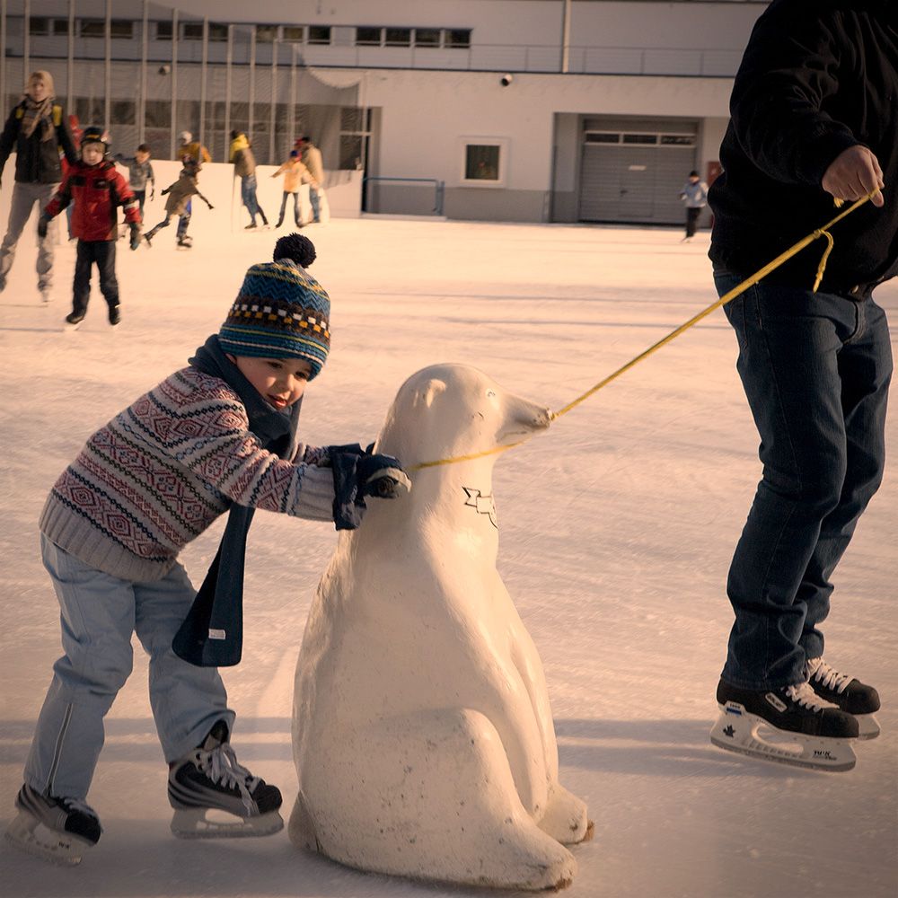 Ice skating Schools / Nurseries Dolder Sports